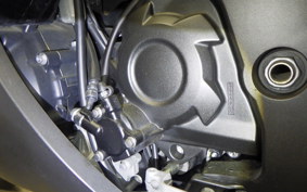 KAWASAKI ZX 1400 NINJA R A 2019