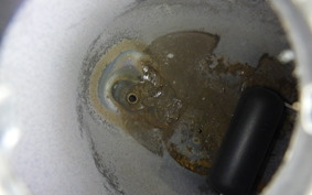 HONDA C90 SUPER CUB E HA02