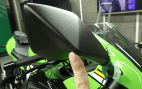 KAWASAKI ZX-4RR 2024