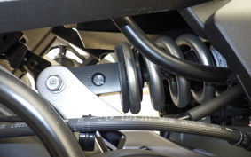KAWASAKI NINJA 1000SX 2024 ZXT02K