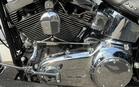 HARLEY HARLEY FLSTC 2013 BW5