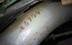 OTHER +RABBIT125 S301A