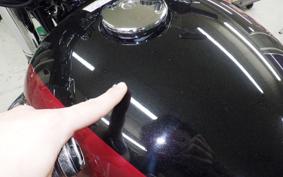 KAWASAKI W800 2025 EJ800E