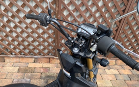HONDA ZOOMER-X JF52