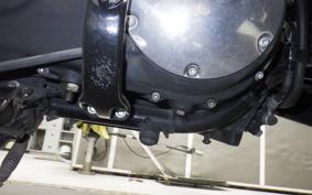 HARLEY XL883RI 2010