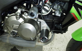 KAWASAKI Z125 PRO 2007 BR125H