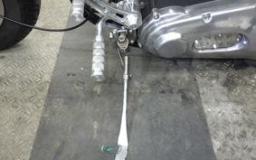 OTHER +UNREGISTERED MODEL by BDS1330 2026