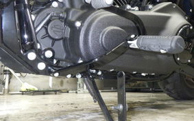 HARLEY FXLRST1920 2023