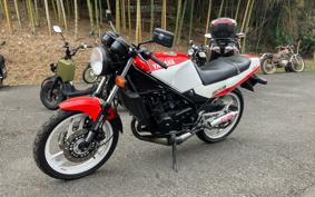 YAMAHA RZ250R 29L