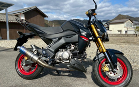 KAWASAKI Z125 PRO BR125H
