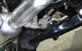 KAWASAKI W800 2024 EJ800E