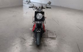 OTHER DEIRINB-BONE ..