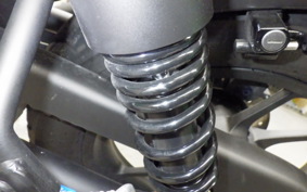 HONDA REBEL 250 S 2021 MC49