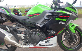 KAWASAKI NINJA 250 EX250P