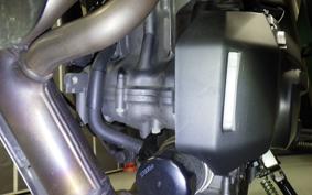 YAMAHA MT-07 2024 RM33J