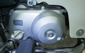 HONDA C50 SUPER CUB 2025 AA01
