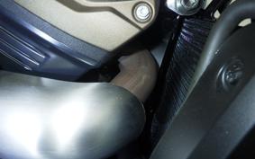 HARLEY RH1250S 2023