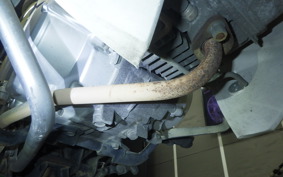 HONDA C110 SUPER CUB