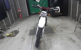 KAWASAKI SUPER SHERPA 2020 KL250G