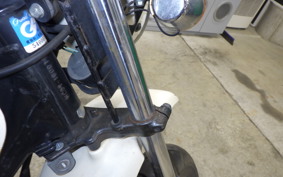 HONDA APE 100 2005 HC07
