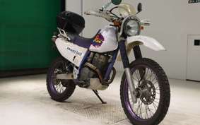 YAMAHA TT250R RAID 2024 4GY
