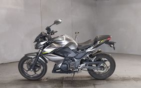 KAWASAKI Z250 ER250C