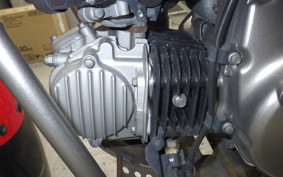 HONDA CT125 HUNTER CUB 2022 JA55