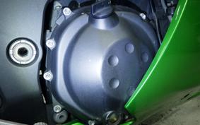 KAWASAKI ZX 1400 NINJA R 2014