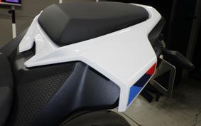 BMW S1000RR M DDC 2025