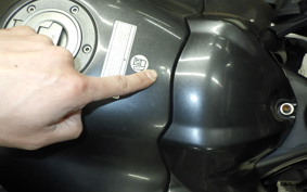 YAMAHA FZ1 FAZER 2008