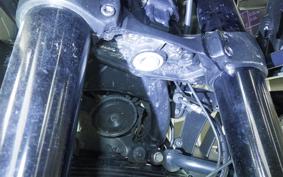 HARLEY PAN AMERICA 1250 S 2021