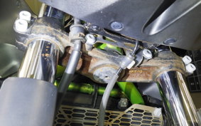 KAWASAKI Z650 A 2021 ER650H