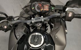 KAWASAKI  VERSYS X250 LE250D