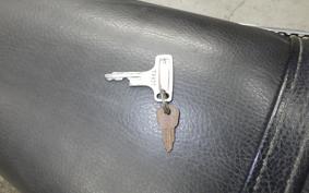 HONDA ELSINORE 250 MT250