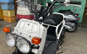 HONDA ZUMAR AF58