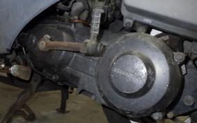 HONDA BROAD 90 2022 HF06