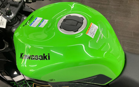 KAWASAKI NINJA ZX-6R 2020 ZX636G