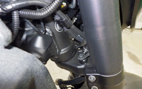 YAMAHA MT-07 2024 RM33J