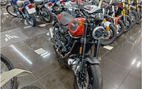 HARLEY X500 2024 W5B