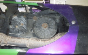 KAWASAKI NINJA 250R 2019 EX250K