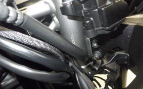 KAWASAKI ZX-4RR 2024 ZX400P