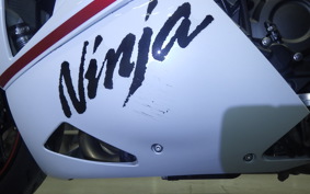 KAWASAKI ZX 1400 NINJA R A 2020