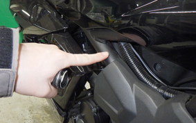 KAWASAKI NINJA 250 SL 2024 BX250A