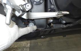 KAWASAKI NINJA 250 EX250L