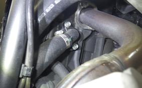 YAMAHA TENERE 700 2024 DM13J