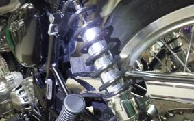 KAWASAKI W800 2024 EJ800E