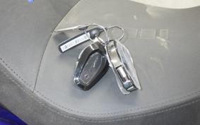 HARLEY FLHXSE1980CVO 2025