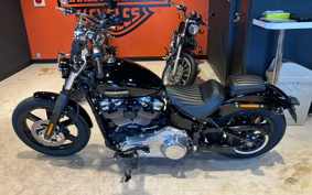HARLEY FXBB 2025 YJ9