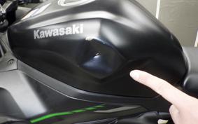 KAWASAKI ZX-4R SE 2023 ZX400P