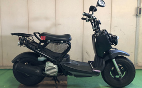 HONDA ZUMAR AF58